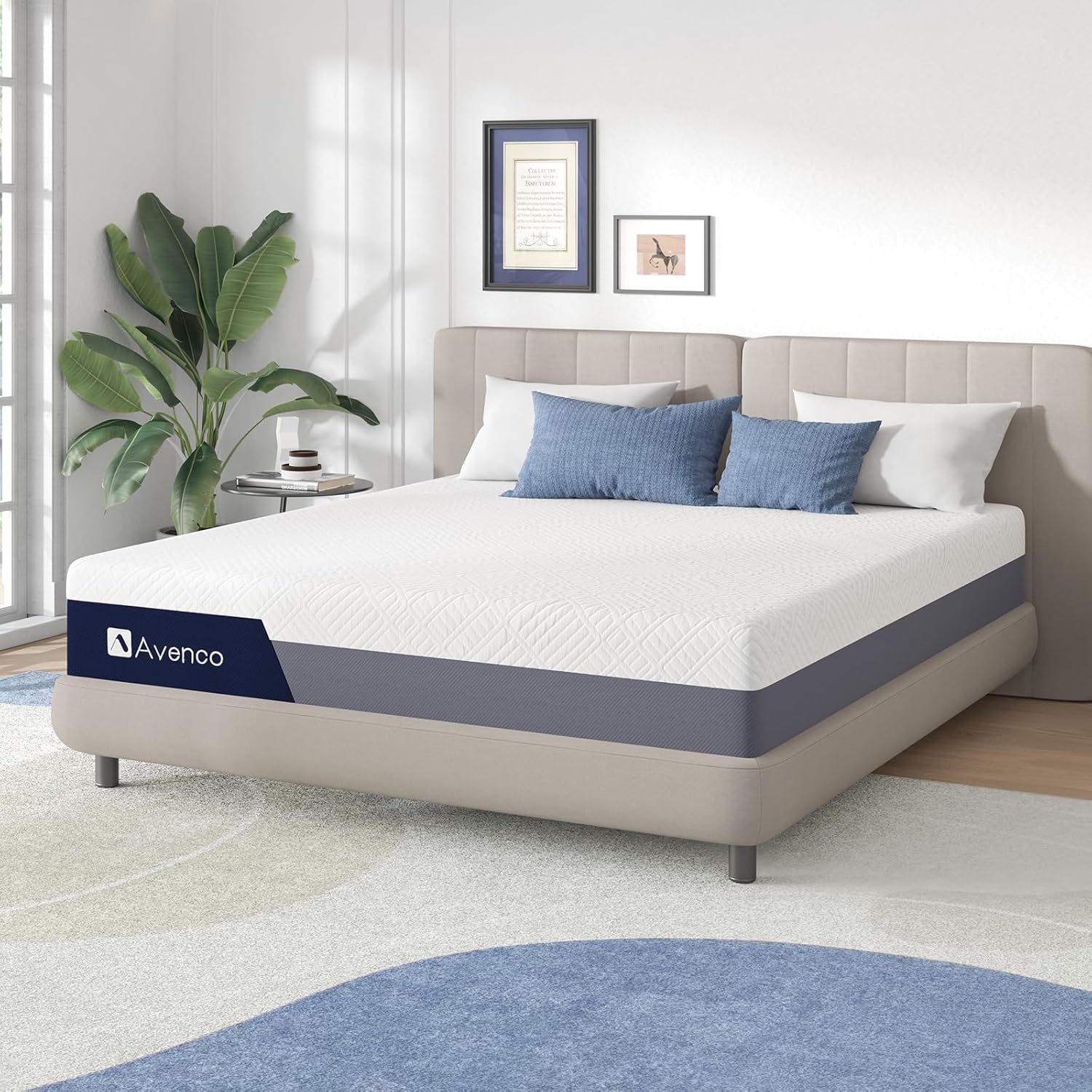 مرتبة كوين ميموري فوم مقاس 12  - مراجعة Memory Foam Mattress In A Box Queen وسعره